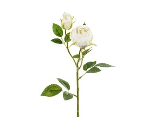 Róża z dwoma pąkami 55cm