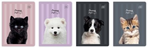 Zeszyt A5/32K 3kol linia 70g UV Puppy Sign (10szt)