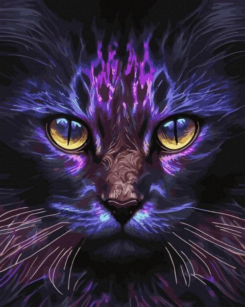 Malowanie po numerach czarne płótno - Magiczny Kot