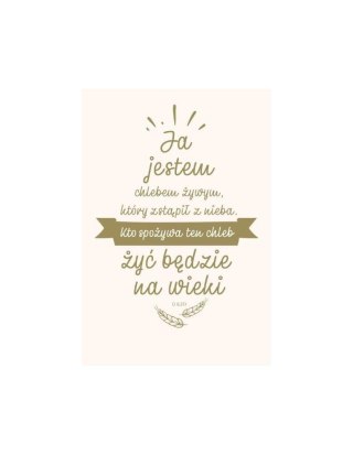 NT z infografikami B5 srebr. tł. Ja jestem chlebem