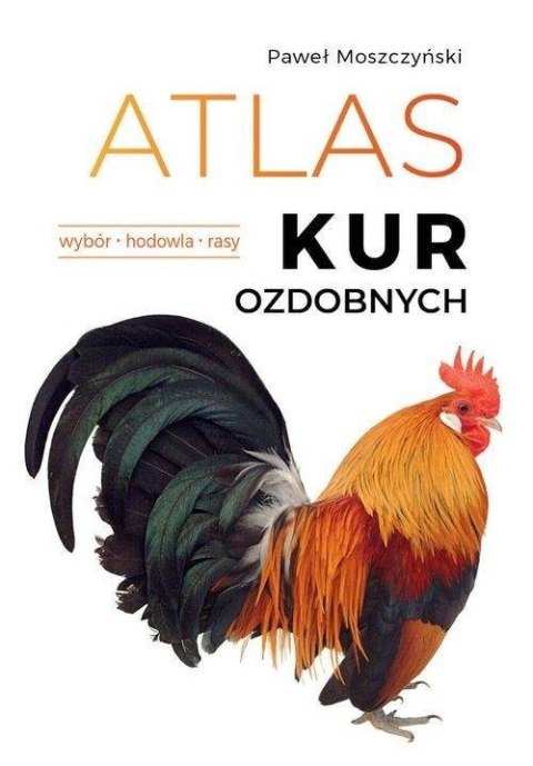 Atlas kur ozdobnych Atlas kur ozdobnych
