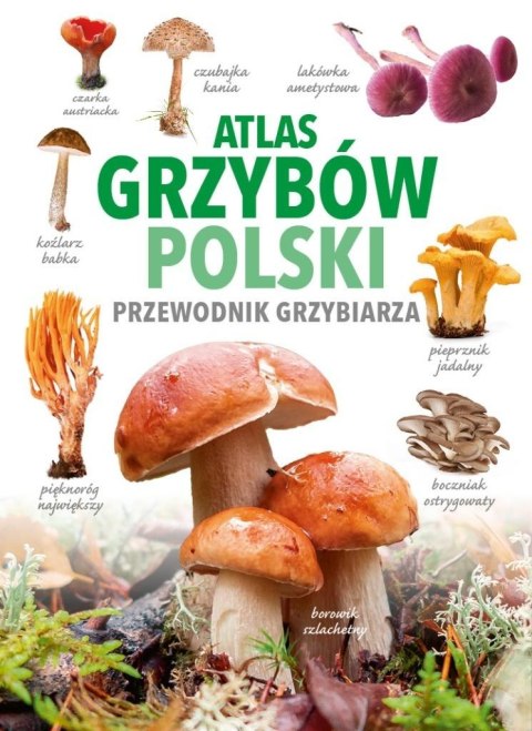 Atlas grzybów Polski Atlas grzybów Polski