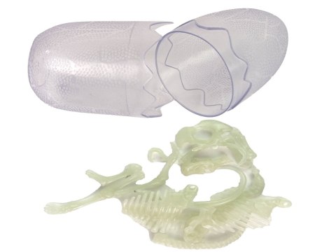 Świecący W Ciemności Szkielet 3D Dinozaury Mamut w Jajku Świecący W Ciemności Szkielet 3D Dinozaury Mamut w Jajku