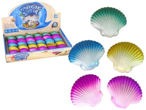 Muszla magiczna 6cm Muszla magiczna 6cm