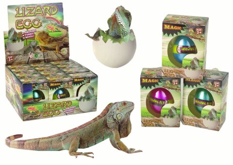 Wykluwające się Magiczne Jajko Jaszczurka Rosnące 6 cm Wykluwające się Magiczne Jajko Jaszczurka Rosnące 6 cm