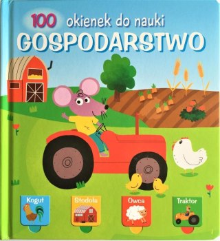 100 okienek do nauki. Gospodarstwo