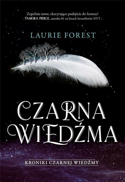 Kroniki Czarnej Wiedźmy T.1 Czarna Wiedźma Kroniki Czarnej Wiedźmy T.1 Czarna Wiedźma