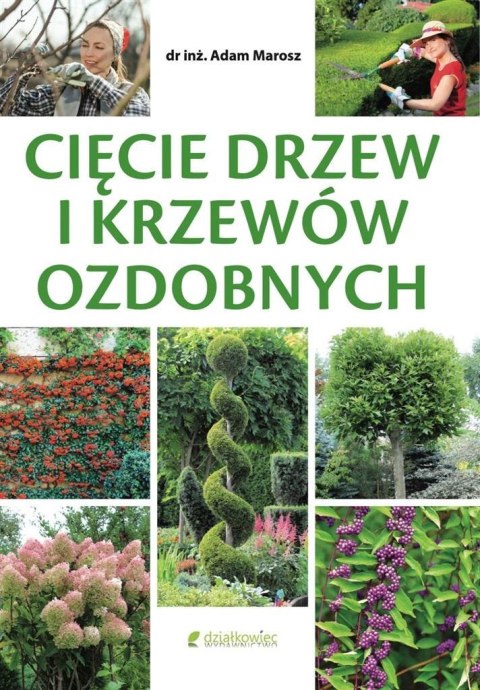 Cięcie drzew i krzewów ozdobnych Cięcie drzew i krzewów ozdobnych