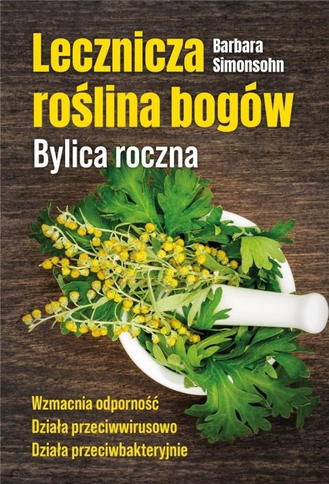 Lecznicza roślina bogów. Bylica roczna Lecznicza roślina bogów. Bylica roczna
