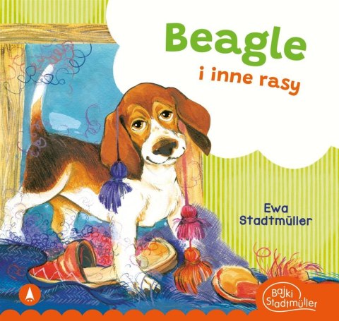 Beagle i inne rasy Beagle i inne rasy