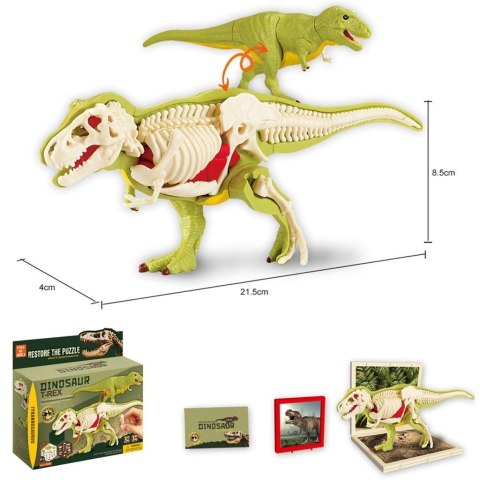Dinozaur ze szkieletem do składania Dinozaur ze szkieletem do składania