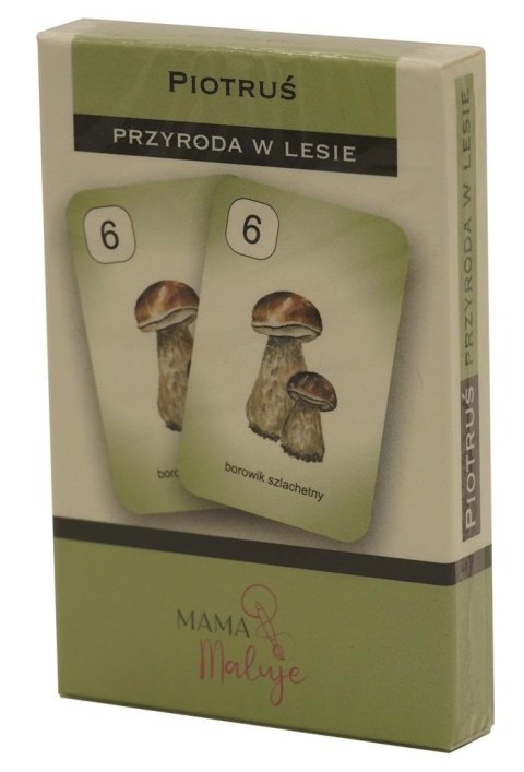 Karty Piotruś - Przyroda w lesie Karty Piotruś - Przyroda w lesie