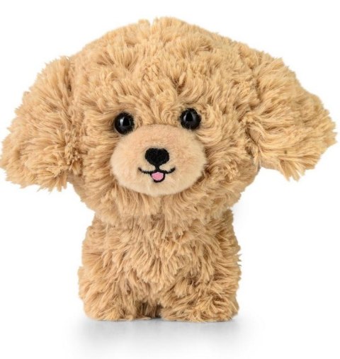 Maskotka Teddy Pets Golden Poodle