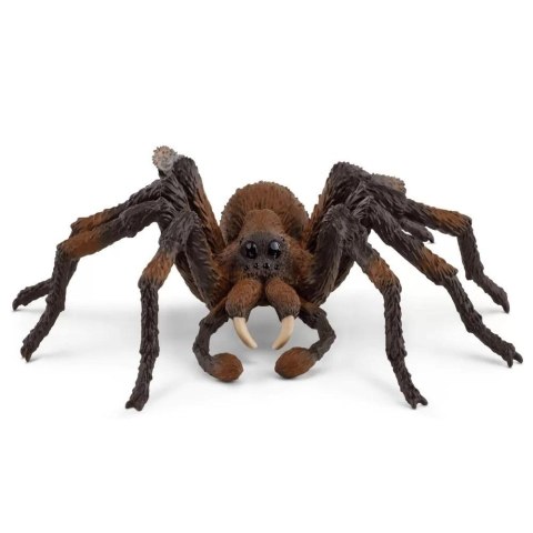 Aragog Wizarding World Aragog Wizarding World