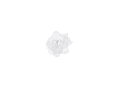 Różyczki do przylepiania białe 9cm 24szt Różyczki do przylepiania białe 9cm 24szt