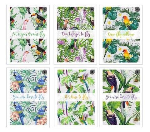 Brulion A5/96K kratka Fowl (5szt)