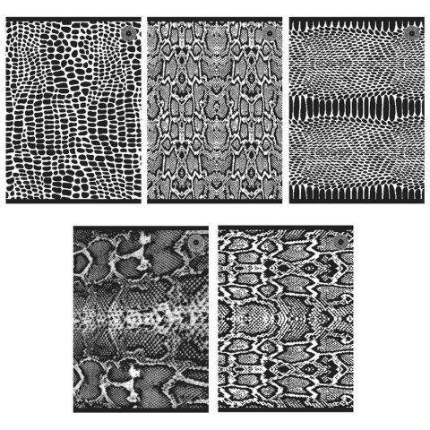 Zeszyt A5/80K linia Snakes 1 (5szt) Zeszyt A5/80K linia Snakes 1 (5szt)