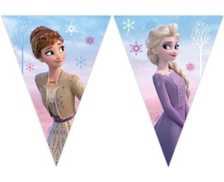 Banner Frozen 2: Wind Spirit flagi