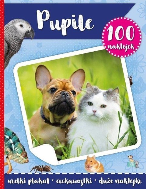 100 naklejek z plakatem. Pupile 100 naklejek z plakatem. Pupile
