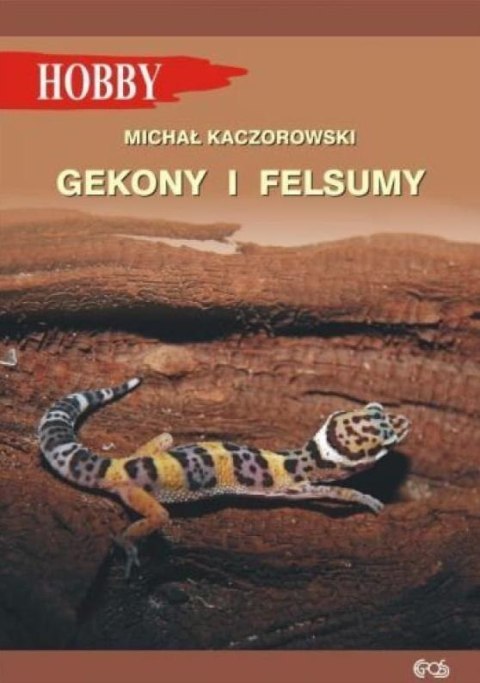 Gekony I Felsumy w.3 Gekony I Felsumy w.3