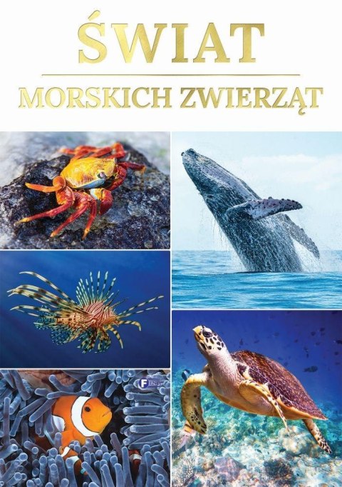 Świat morskich zwierząt Świat morskich zwierząt