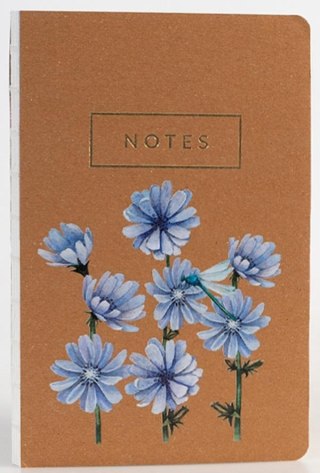 Notes Cykoria