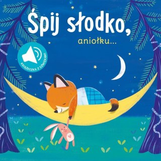 Książka z dźwiękiem. Śpij słodko aniołku