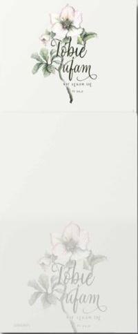 Notes z Magnesem - Tobie ufam