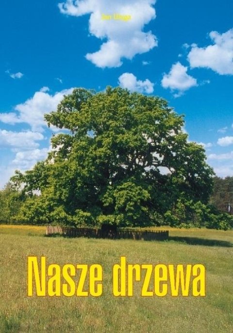 Nasze drzewa Nasze drzewa