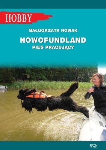 Nowofundlad - pies pracujący Nowofundlad - pies pracujący