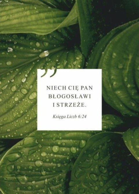 Karnet - Niech Cię Pan błogosławi - liście