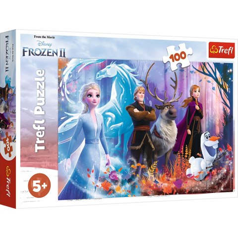 Puzzle - "100" - Magia Krainy Lodu / Disney Frozen 2 16366 Puzzle - "100" - Magia Krainy Lodu / Disney Frozen 2 16366