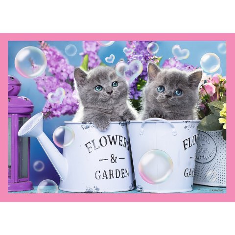 Puzzle - "4w1" - Zabawne kotki Trefl 34396 Puzzle - "4w1" - Zabawne kotki Trefl 34396