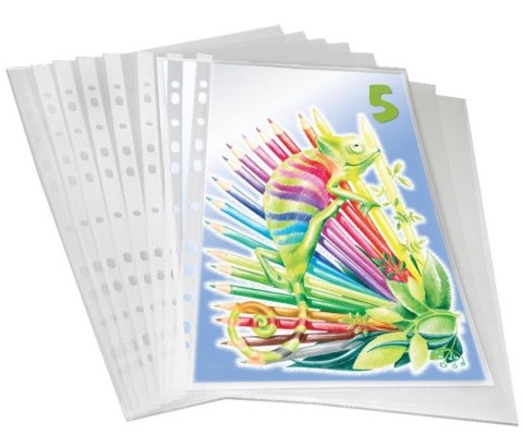 Koszulki A4 krystaliczne 100szt Koszulki A4 krystaliczne 100szt