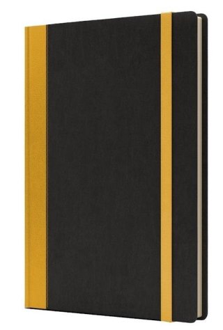 Notatnik B5 Pro L linia czarny/żółty