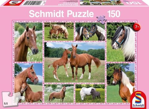 Puzzle 150 Konie G3 Puzzle 150 Konie G3