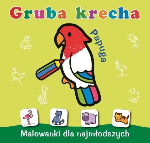 Gruba krecha. Papuga Gruba krecha. Papuga