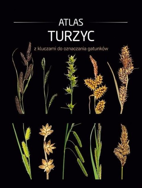 Atlas turzyc z kluczami do oznaczania gatunków Atlas turzyc z kluczami do oznaczania gatunków