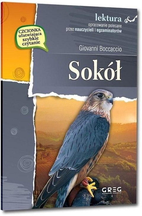Sokół GREG Sokół GREG