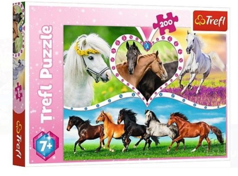 Puzzle 200 Piękne konie TREFL Puzzle 200 Piękne konie TREFL