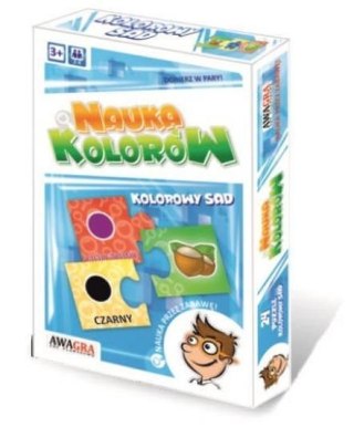 Nauka kolorów - Kolorowy sad FAN