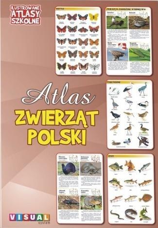 Ilustrowany atlas szkolny. Atlas zwierząt Polski Ilustrowany atlas szkolny. Atlas zwierząt Polski