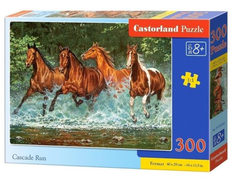Puzzle 300 Cascade Run CASTOR Puzzle 300 Cascade Run CASTOR