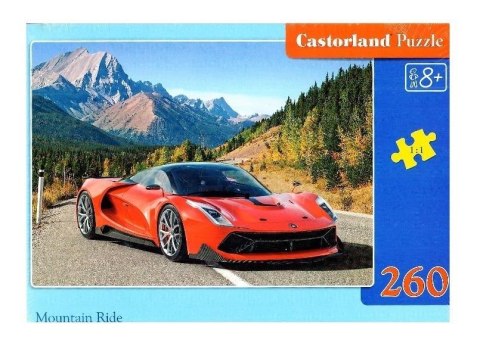 Puzzle 260 Mountain Ride CASTOR Puzzle 260 Mountain Ride CASTOR