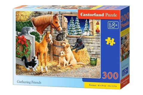 Puzzle 300 Gathering Friends CASTOR Puzzle 300 Gathering Friends CASTOR