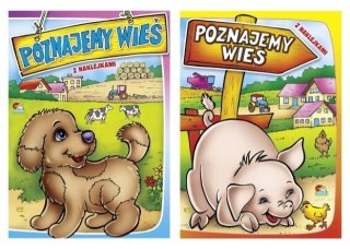 (019) Poznajemy wieś. Malowanki z naklejkami MIX