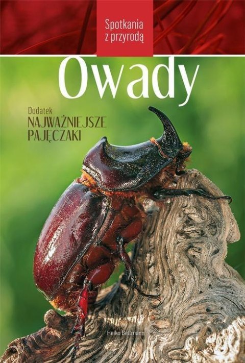 Spotkania z przyrodą. Owady Spotkania z przyrodą. Owady