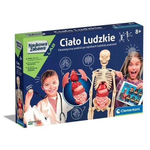 Naukowa zabawa. Ciało ludzkie