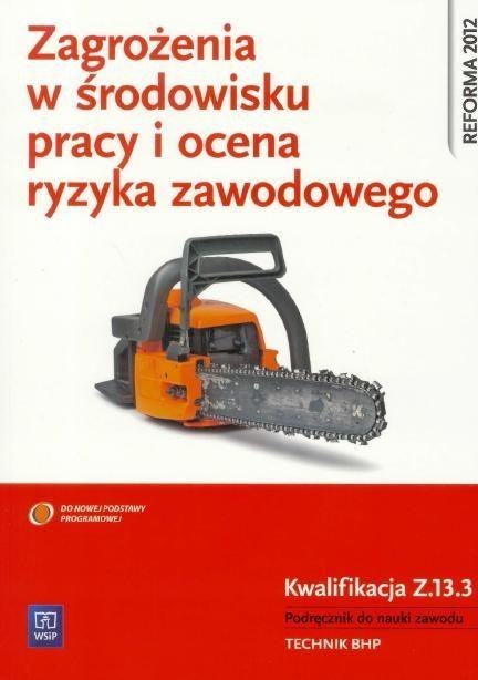 Zagroż. w środ. pracy i ocena ryzyka Kwal. Z.13.3 Zagroż. w środ. pracy i ocena ryzyka Kwal. Z.13.3