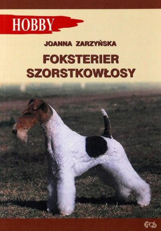 Foksterier szorstkowłosy